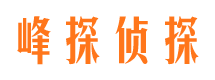 海原出轨取证